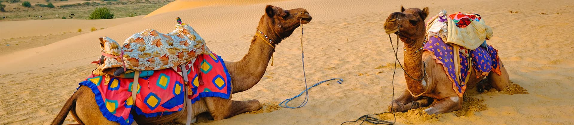 Thar Desert