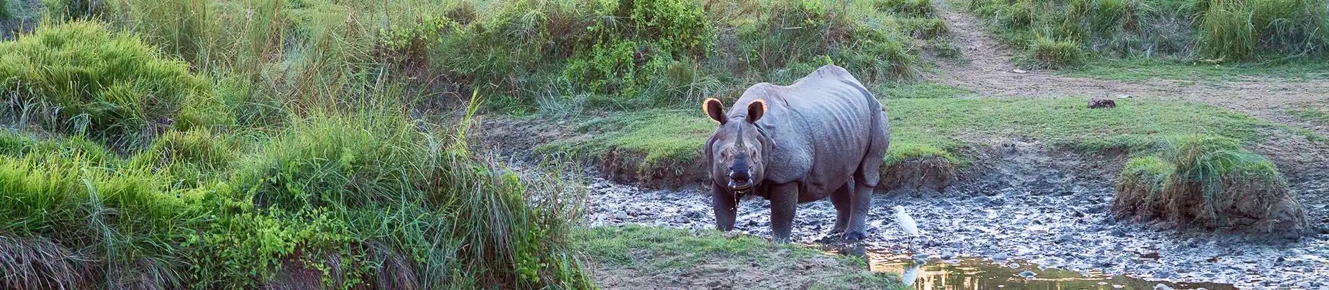 Chitwan