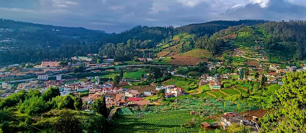Ooty And Munnar Tour