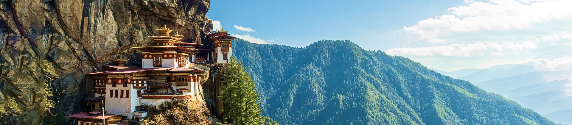 Paro