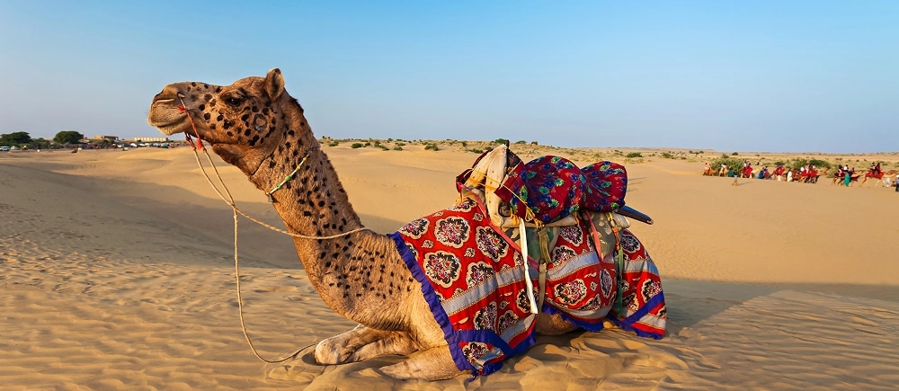 Princely Palaces, Desert Adventures & Taj Mahal: North India Tour Itinerary