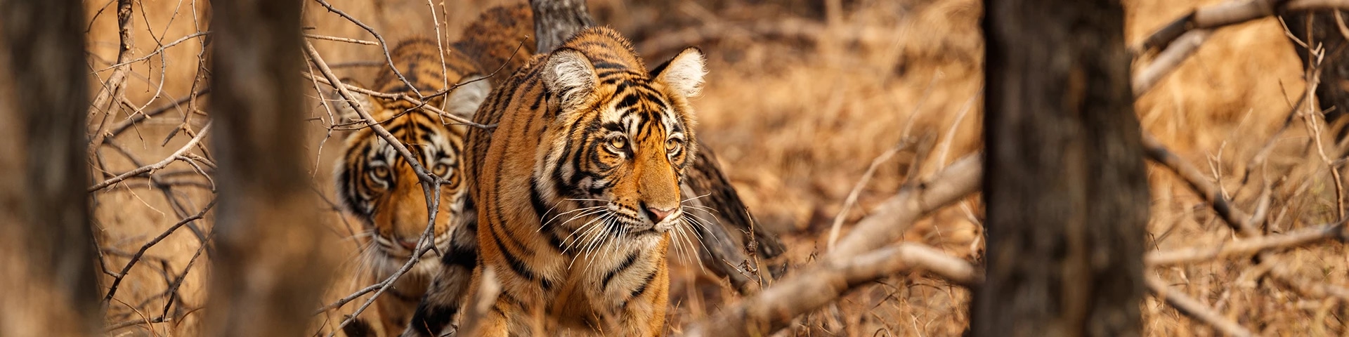 Sitamata Wildlife Sanctuary