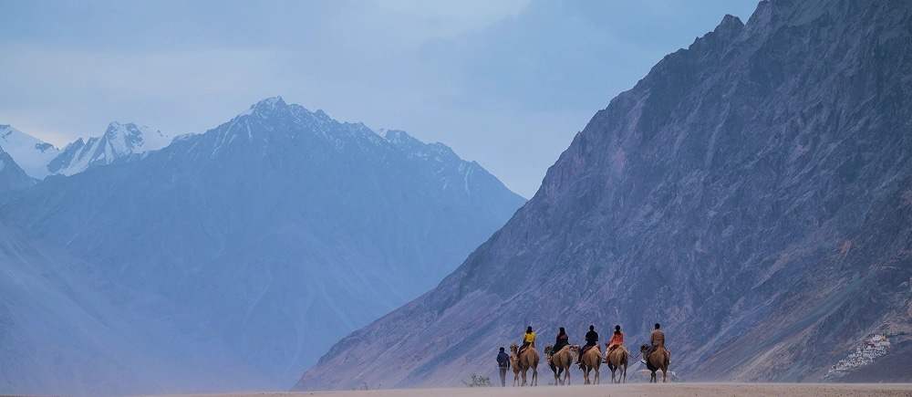 Splendours Of Ladakh And Kashmir
