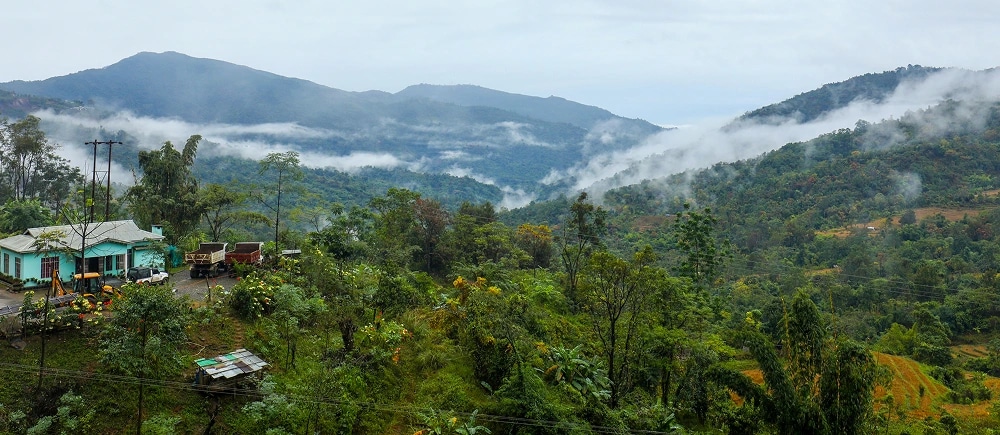 Tea, Tribes & Rhinos - North East India Tour