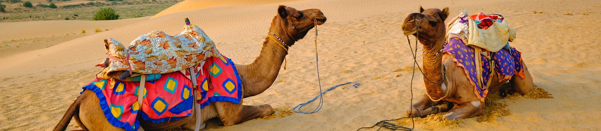 Thar Desert