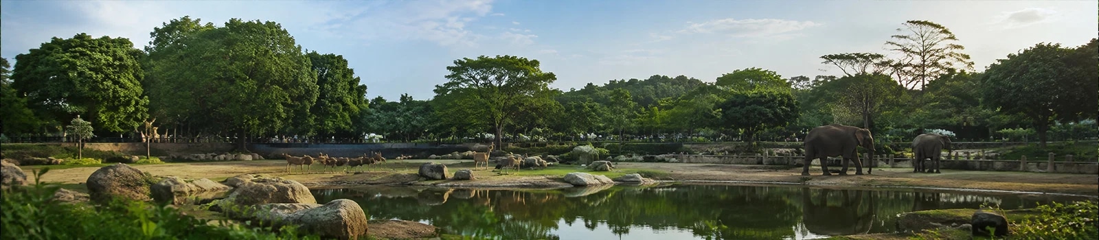 Arignar Anna Zoological Park