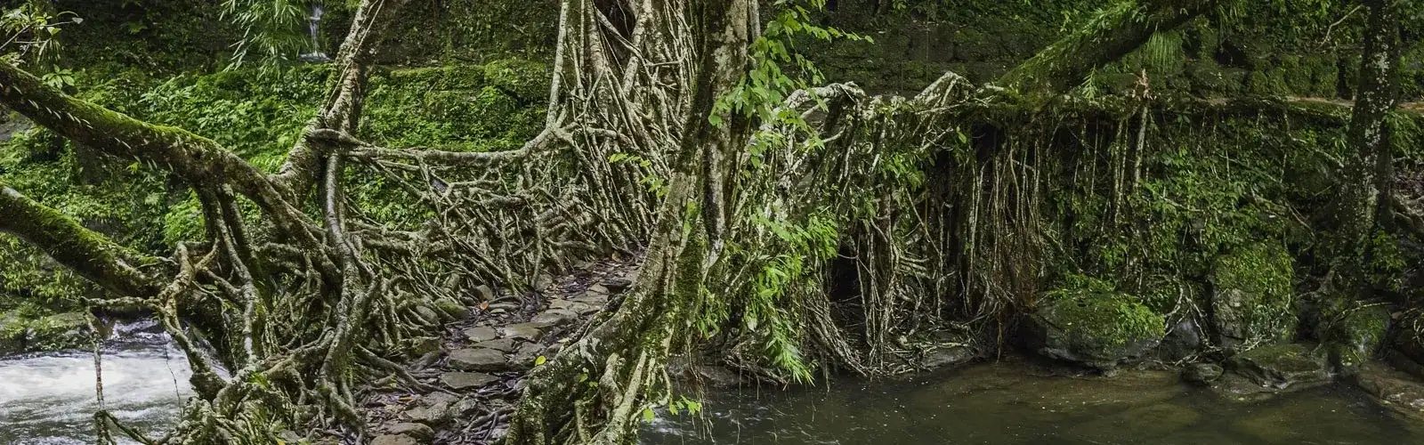 Mawsynram