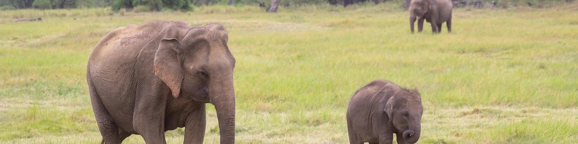 Bibhuti Bhusan Wildlife Sanctuary