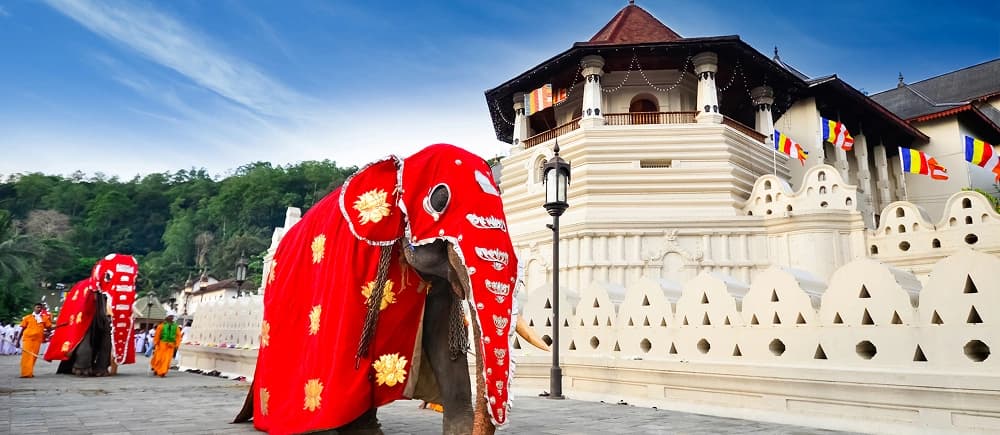 Explore The Best Of - Sri Lanka