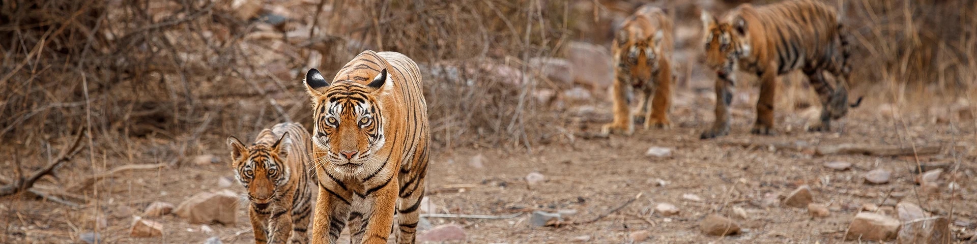 Suhelwa Wildlife Sanctuary
