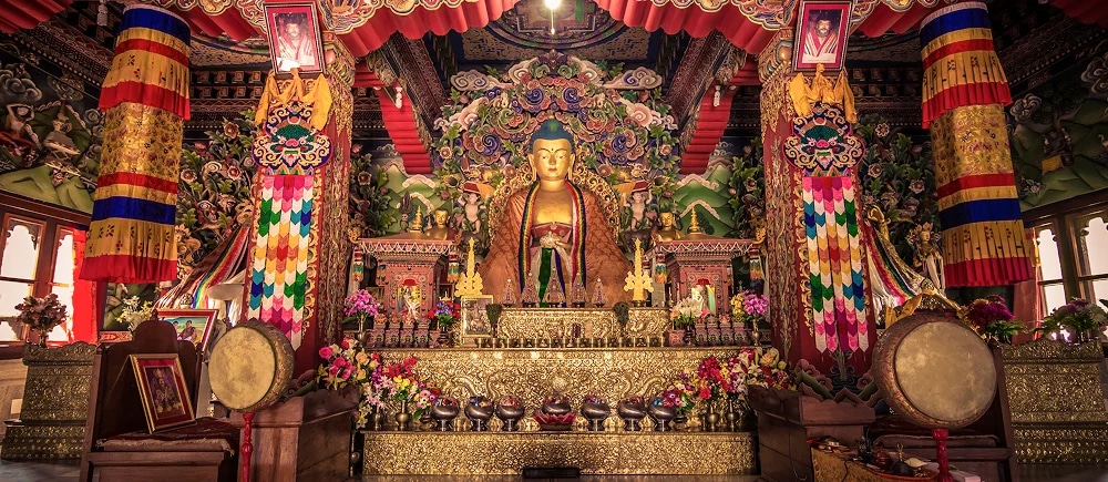 Footsteps Buddha Tour