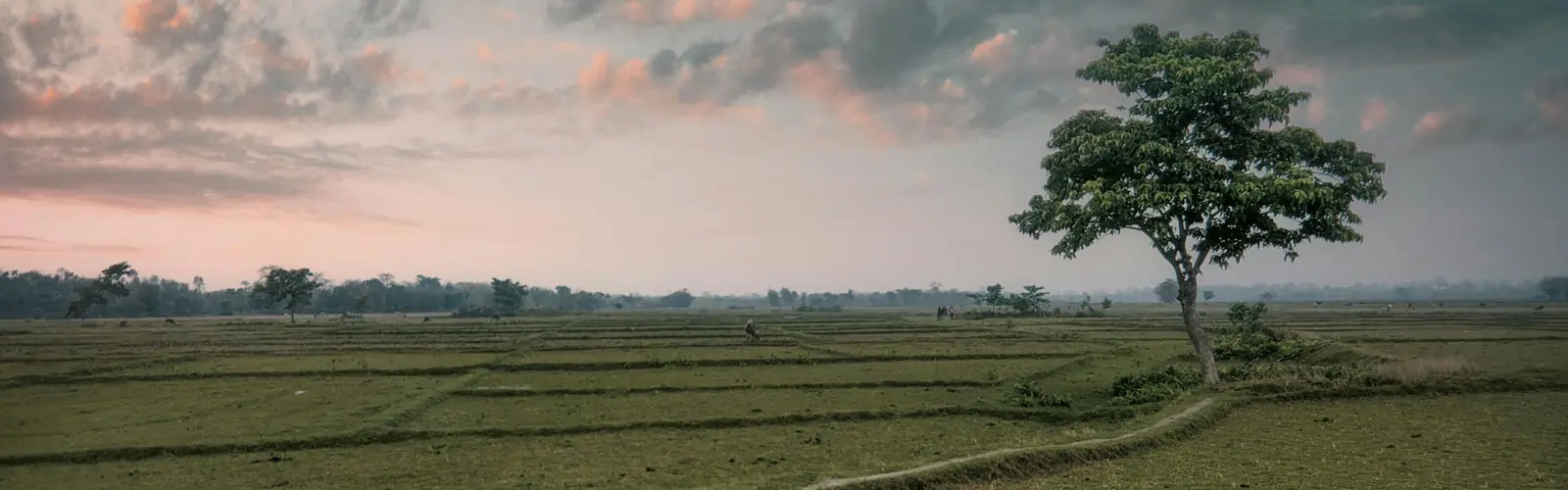 alipurduar-tourism.webp