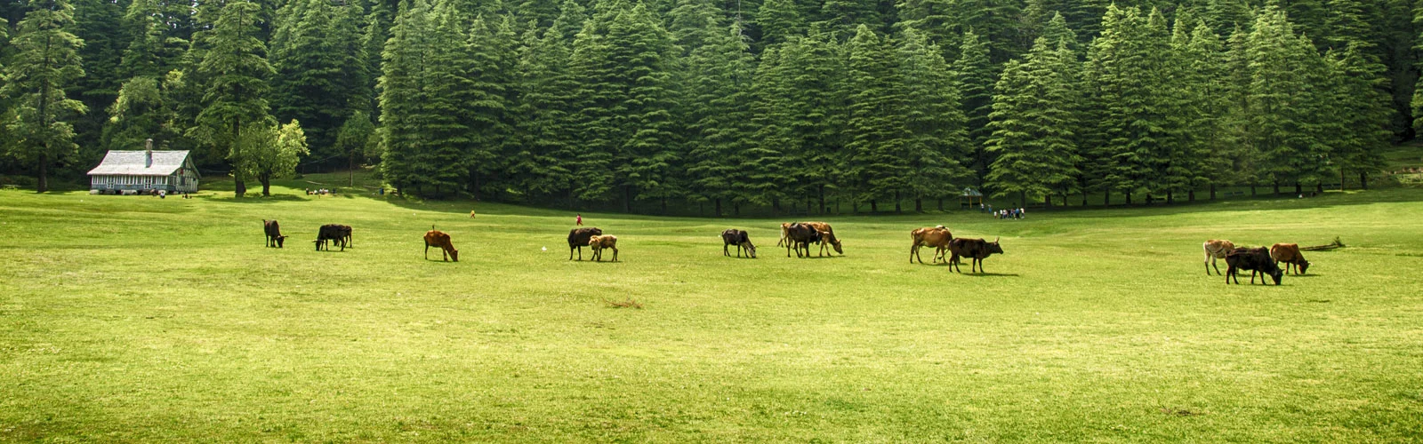 dalhousie-tourism