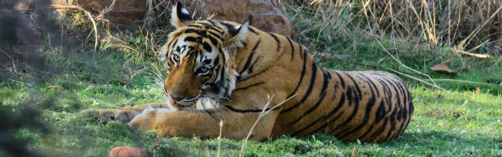 kaila-devi-wildlife-sanctuary