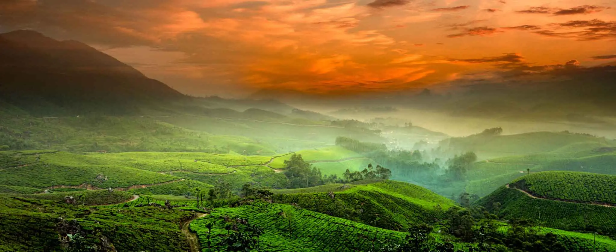 South India Tour Packages