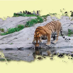 Ballavpur Wildlife Sanctuary