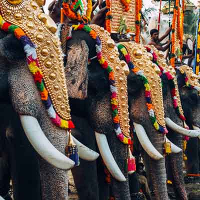 Thrissur Pooram Festivals
