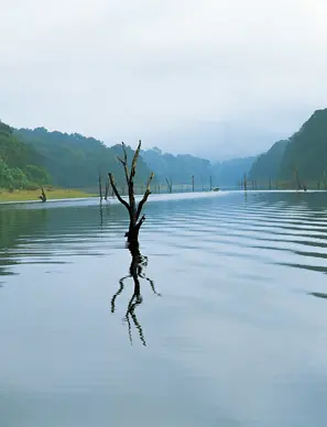 Travel to Kerala