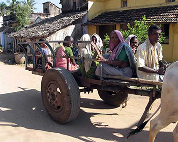 Bullock cart carrying village people, near Cardamom House, Dindigul