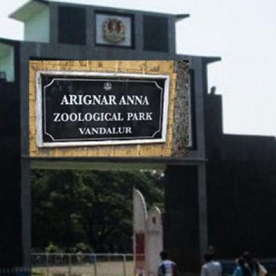 Arignar Anna Zoological Park tamilnadu