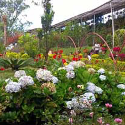 Blossom International Park kerala