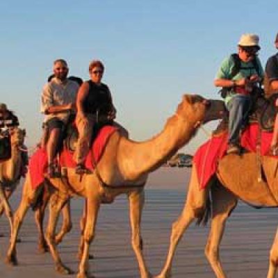 Camel Trekking - Rajasthan