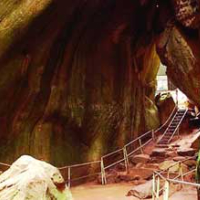 Edakkal Caves kerala