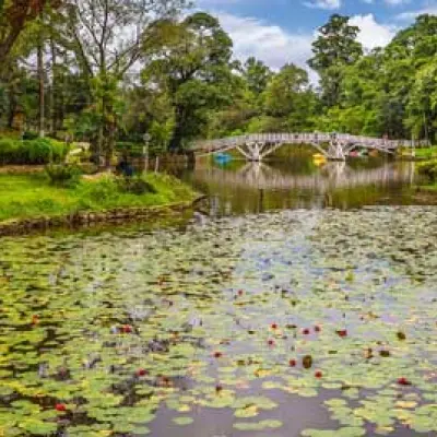 Tourist Attractions - Meghalaya