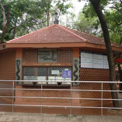 Snake Park Guindy tamilnadu