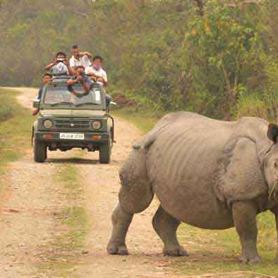Tea, Tribes & Rhinos - North East India Tour