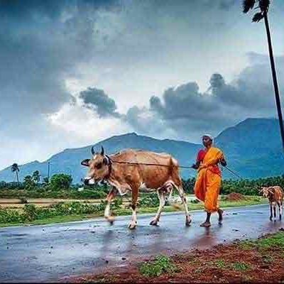 culture-of-tamil-nadu