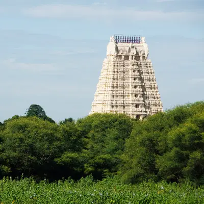 Complete India Tour Packages