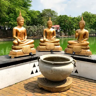 Asia Tour Packages - Srilanka