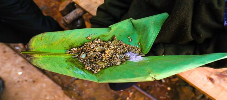 Lifestyle & Food in Mawsynram