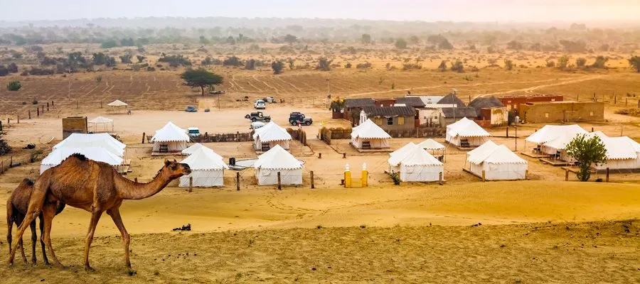 Pushkar Camel Fair | Indian Panorama