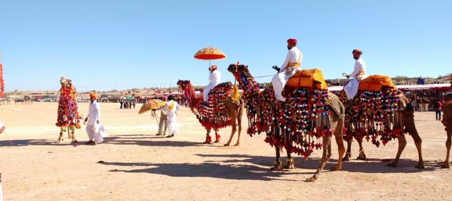 Ever seen the Taj Mahal at night? During the Full Moon? Here is how to do it? | Indian Panorama
