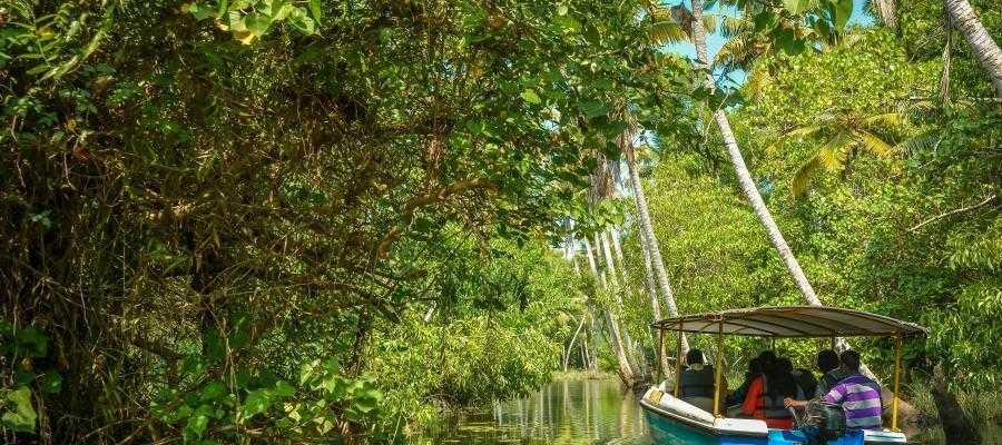 THINGS THAT MAKE KERALA PERFECT FOR A FAMILY HOLIDAY | Indian Panorama