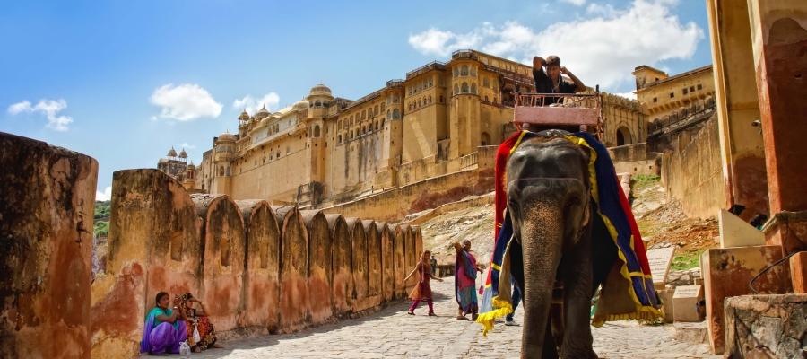 Jaipur Elephant Festival | Indian Panorama