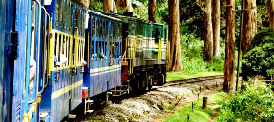 Ooty Summer Festival 2019 | Indian Panorama