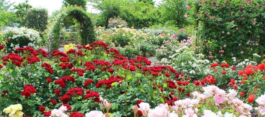 Travel with peace of mind | Indian Panorama