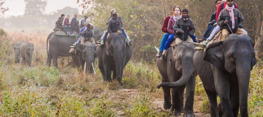 10 Reasons to Travel Assam | Indian States Travel Info Series – #3 | Indian Panorama