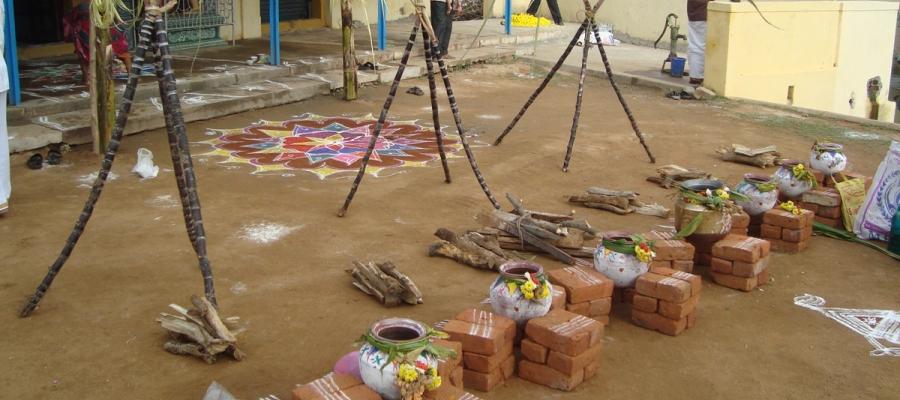 Pongal Festival | Indian Panorama
