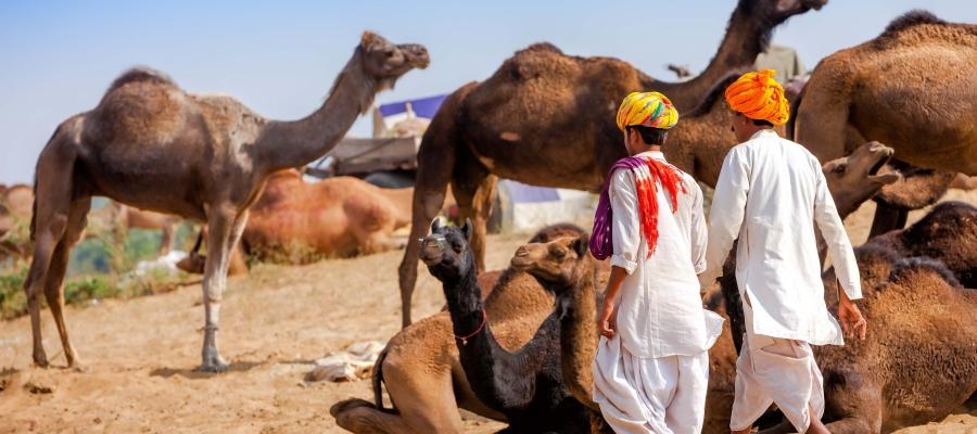 The ancient city of Pushkar | Indian Panorama