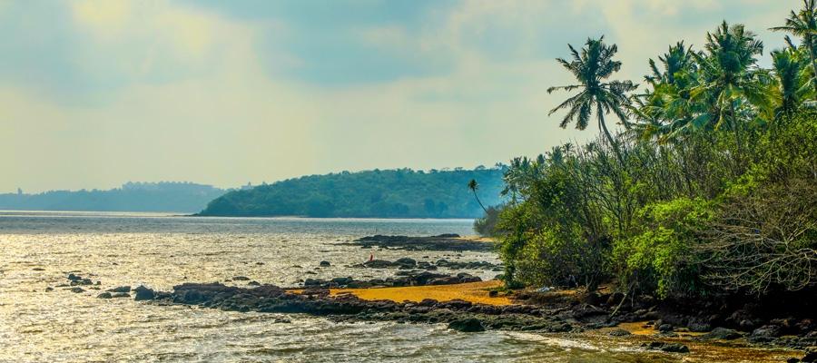 Must Visit Bioluminescent Glowing Beaches In India | Indian Panorama
