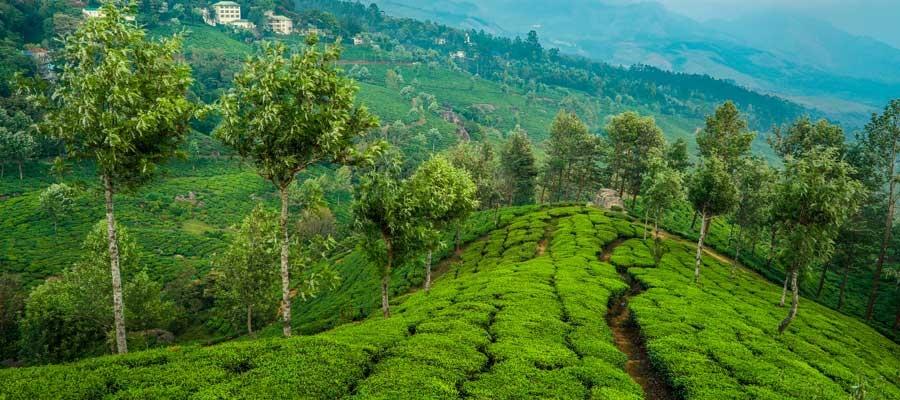 Kerala Monsoon 2025 Experience “God’s Own Country” transforming into a “God’s Own Paradise”