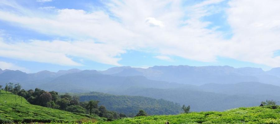 Valparai Unveiled- A must visit hill station | Indian Panorama