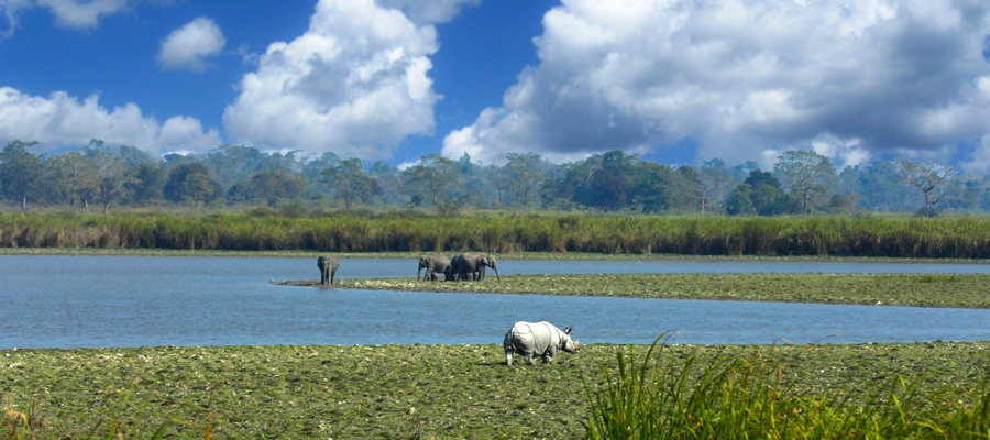 Best Eco-Tourism Destinations in India | Indian Panorama