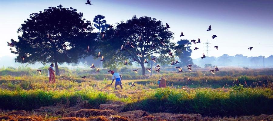 An unforgettable experience | Indian Panorama