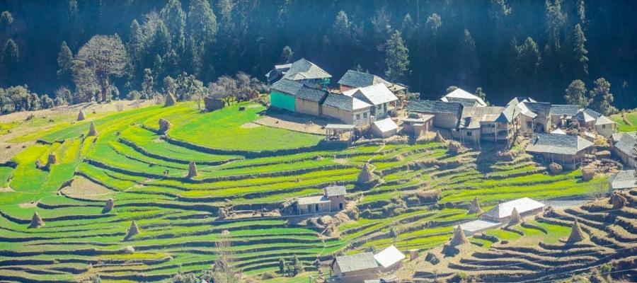 A pocket guide to Kasauli, Himachal Pradesh | Indian Panorama