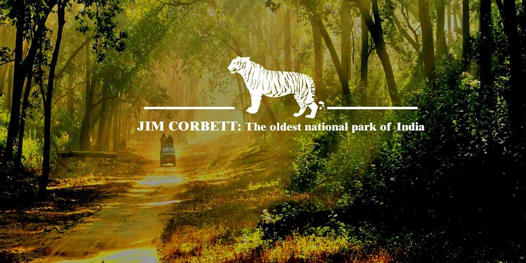 Corbett National Park -